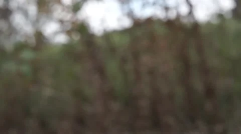 Modern office Ext  Video stock 42733940