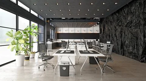 Modern office interior with rock feature Stock Illustration