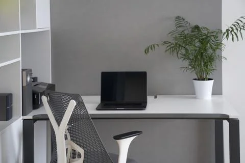 Modern office space interior. Computer work place daylight interior with op.. Stock Photos
