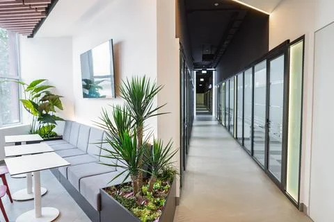Modern office space with a long corridor, booth, table, chairs and plants Stock Photos