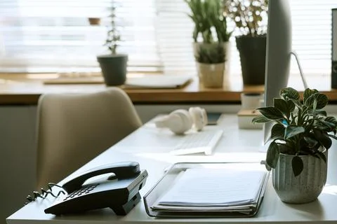 Modern Office Workplace with Computer Desk and Plants Stock Photos