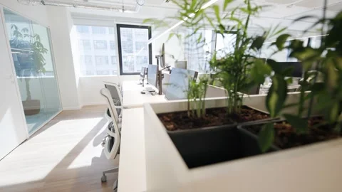 Modern office workspace featuring ergonomic chairs and multiple computer Stock Footage 335946071