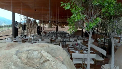 Modern Open Air Restaurant Interior With Trees and Elegant Dining Setup in Stock Footage 335446728