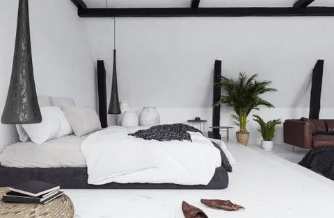 Modern open-plan apartment in attic, scandinavian style, 3d render Stock Illustration