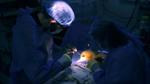 In a modern operating room, a group of young doctors during Stockbeeldmateriaal 270553579