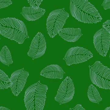 Modern palm leaf seamless pattern with hand drawn foliage print. Abstract art Illustrazione stock