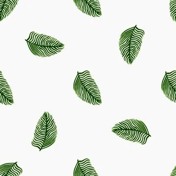 Modern palm leaf seamless pattern with hand drawn foliage print. Abstract art Illustrazione stock