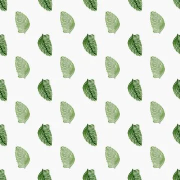 Modern palm leaf seamless pattern with hand drawn foliage print. Abstract art Illustrazione stock