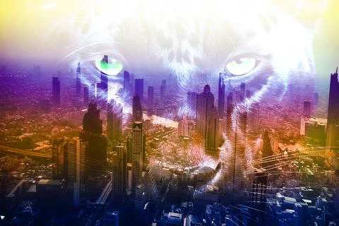 Modern pattern studies, manipulation background Illustrazione stock