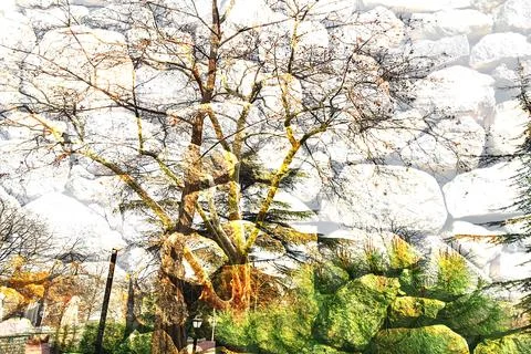 Modern pattern studies, manipulation background イラスト素材