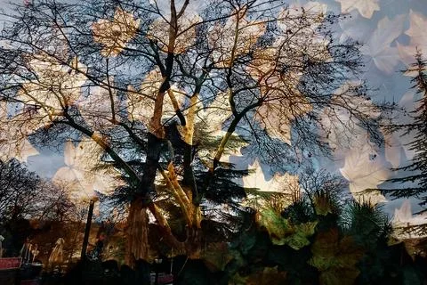 Modern pattern studies, manipulation background 스톡 일러스트