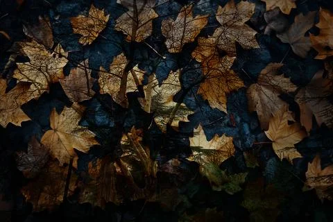 Modern pattern studies, manipulation background 스톡 일러스트