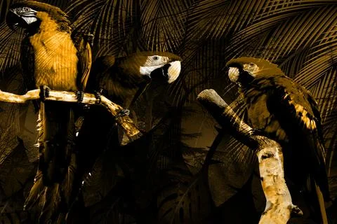 Modern pattern studies, manipulation background Stock Illustration