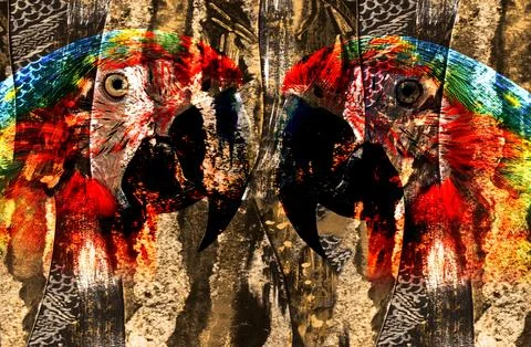 Modern pattern studies, manipulation background 스톡 일러스트