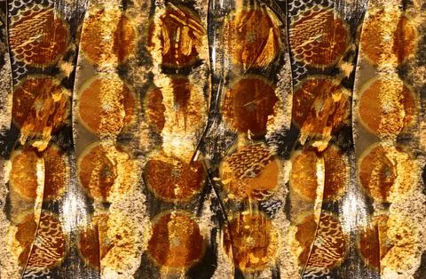 Modern pattern studies, manipulation background イラスト素材