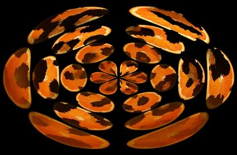 Modern pattern studies, manipulation background イラスト素材