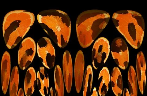 Modern pattern studies, manipulation background 스톡 일러스트