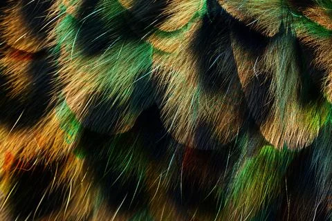 Modern pattern studies, manipulation background 스톡 일러스트