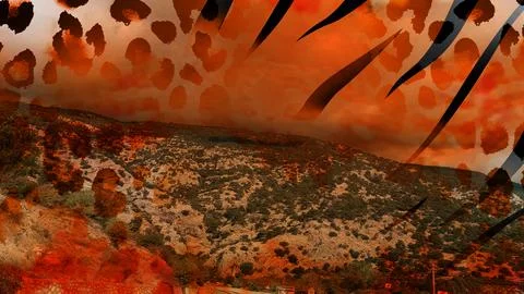 Modern pattern studies, manipulation background Foto stock