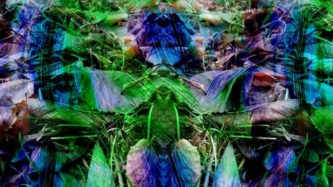 Modern pattern studies, manipulation background Stock Photos