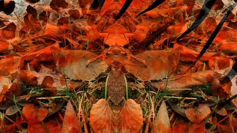 Modern pattern studies, manipulation background Foto stock