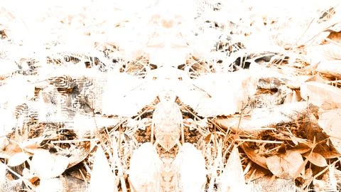 Modern pattern studies, manipulation background Stock Photos