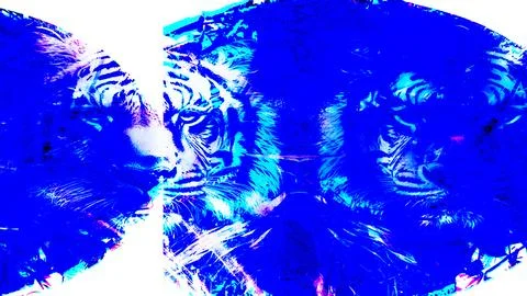 Modern pattern studies, manipulation background Stock Photos