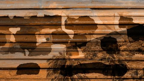 Modern pattern studies, manipulation background 写真素材
