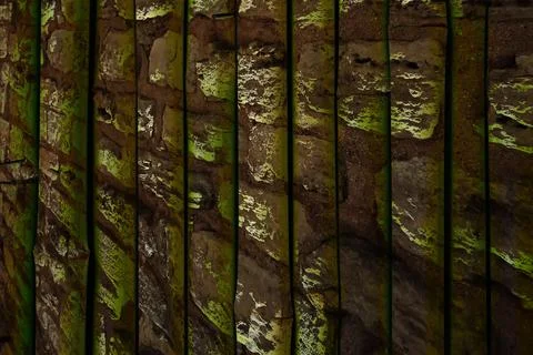 Modern pattern studies, manipulation background 写真素材