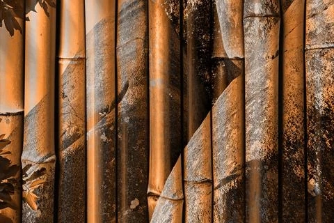 Modern pattern studies, manipulation background 写真素材