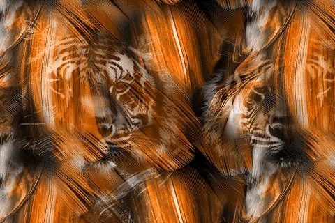 Modern pattern studies, manipulation background Stock Photos