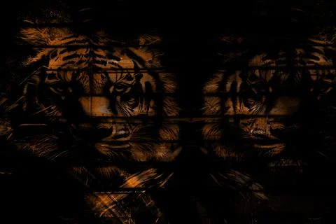 Modern pattern studies, manipulation background Stock Photos