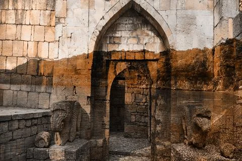 Modern pattern studies, manipulation background 写真素材