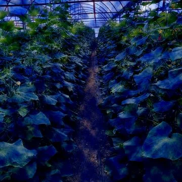 Modern pattern studies, manipulation background 스톡 사진