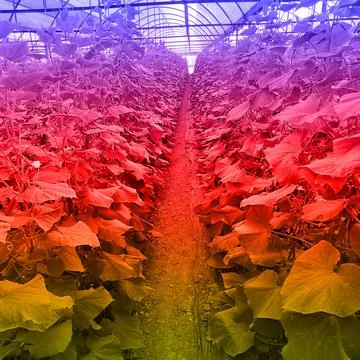 Modern pattern studies, manipulation background Stock Photos