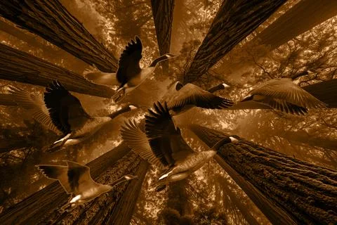 Modern pattern studies, manipulation background Foto stock