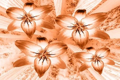 Modern pattern studies, manipulation background Stock Photos