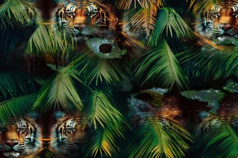Modern pattern studies, manipulation background Stock Photos