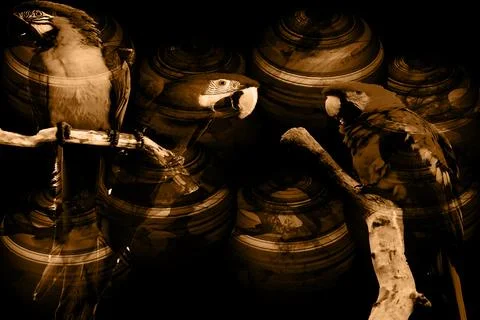 Modern pattern studies, manipulation background Stock Photos