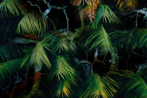 Modern pattern studies, manipulation background Foto stock