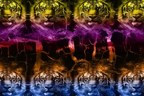 Modern pattern studies, manipulation background 写真素材