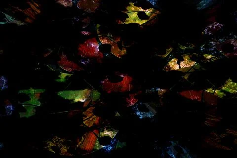 Modern pattern studies, manipulation background 스톡 사진