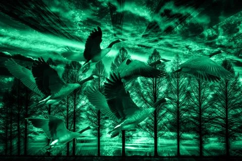 Modern pattern studies, manipulation background 스톡 사진