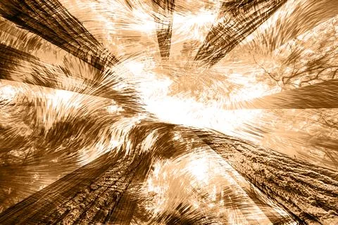 Modern pattern studies, manipulation background 스톡 사진