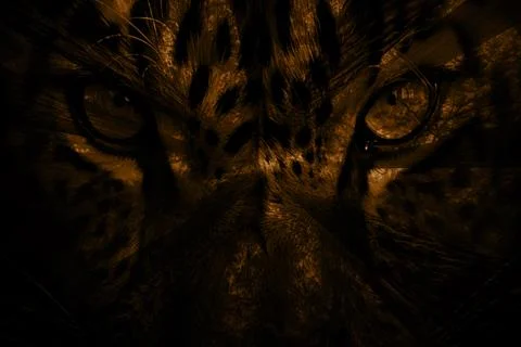 Modern pattern studies, manipulation background 写真素材