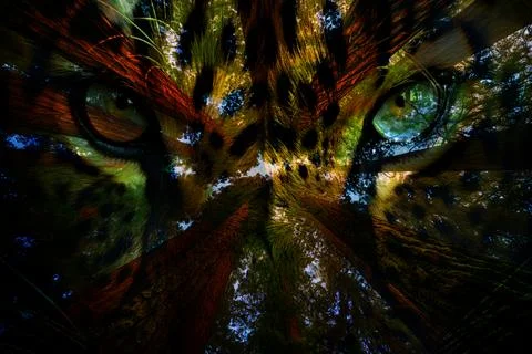 Modern pattern studies, manipulation background Stock Photos