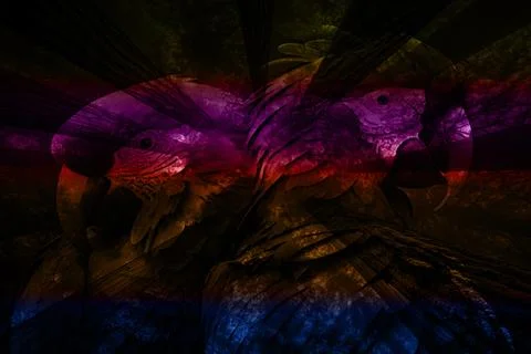 Modern pattern studies, manipulation background 스톡 사진