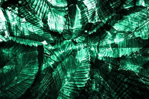 Modern pattern studies, manipulation background Foto stock