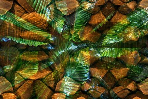 Modern pattern studies, manipulation background 写真素材