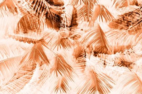 Modern pattern studies, manipulation background Stock Photos